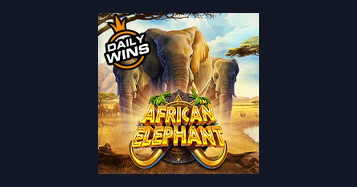 Tips Pola Maxwin dan Strategi Jitu Main Slot African Elephant